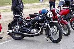 IMGP8682.JPG