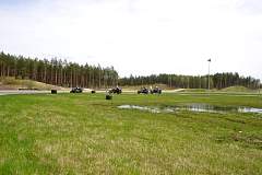 IMGP9650.JPG