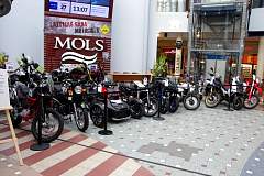 IMGP1572.JPG