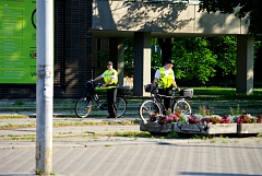 IMGP5925.JPG