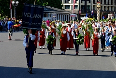 IMGP6252.JPG