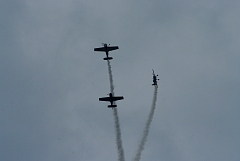 IMGP8872.JPG