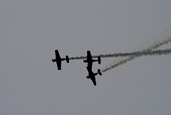 IMGP8873.JPG