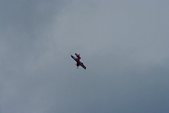 IMGP8884.JPG