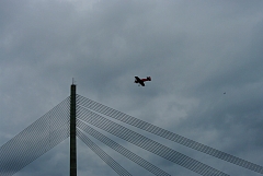 IMGP8890.JPG