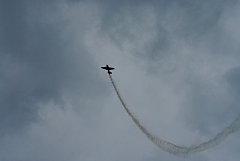 IMGP8895.JPG