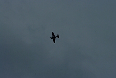 IMGP8897.JPG