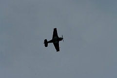 IMGP8908.JPG