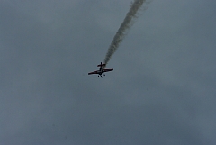IMGP8922.JPG
