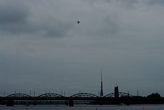 IMGP8930.JPG
