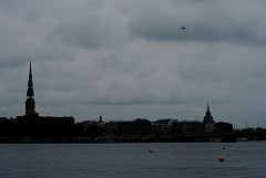 IMGP8949.JPG