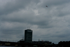 IMGP8961.JPG