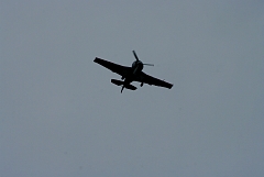 IMGP8962.JPG