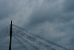 IMGP8981.JPG
