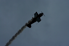 IMGP8994.JPG