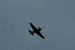 IMGP9056.JPG