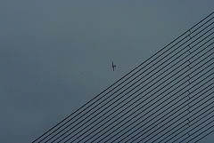 IMGP9067.JPG