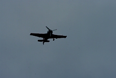 IMGP9068.JPG