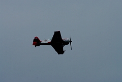 IMGP9081.JPG