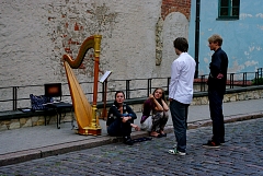 IMGP8676.JPG