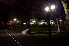 IMGP6549.JPG