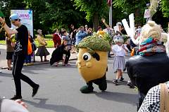 IMGP0825.JPG
