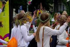 IMGP1242.JPG