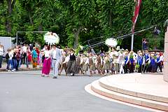 IMGP0873.JPG