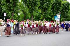 IMGP0941.JPG
