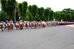 IMGP0979.JPG