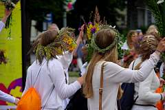 IMGP1242.JPG