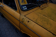 IMGP8503.JPG