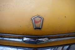 IMGP8504.JPG