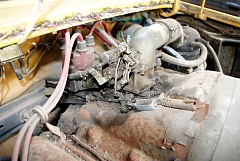 IMGP8512.JPG