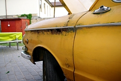 IMGP8517.JPG