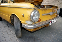 IMGP8528.JPG