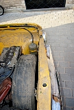 IMGP8540.JPG