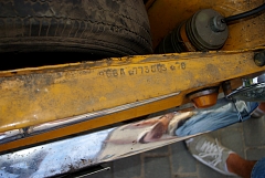 IMGP8556.JPG