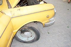 IMGP8562.JPG