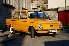 IMGP8637.JPG