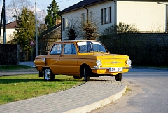 IMGP8641.JPG