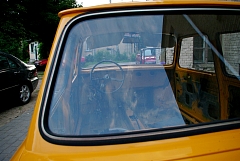 IMGP9724.JPG