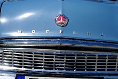 IMGP9561.JPG
