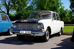 IMGP9564.JPG