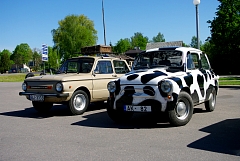 IMGP9571.JPG