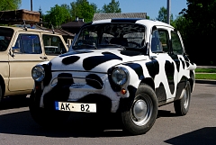 IMGP9572.JPG