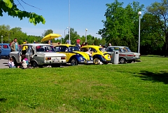IMGP9575.JPG