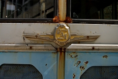 IMGP9621.JPG