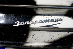 IMGP9629.JPG