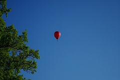 IMGP9839.JPG